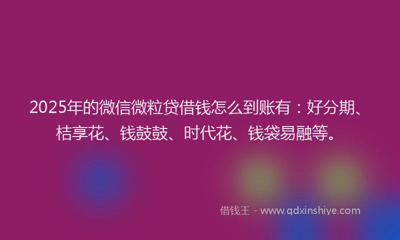 2025年的微信微粒贷借钱怎么到账有：好分期、桔享花、钱鼓鼓、时代花、钱袋易融等。