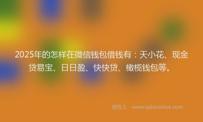 2025年的怎样在微信钱包借钱有：天小花、现金贷易宝、日日盈、快快贷、橄榄钱包等。