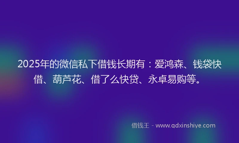 2025年的微信私下借钱长期有：爱鸿森、钱袋快借、葫芦花、借了么快贷、永卓易购等。