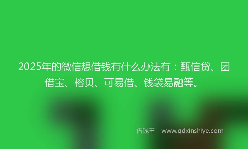 2025年的微信想借钱有什么办法有：甄信贷、团借宝、榕贝、可易借、钱袋易融等。