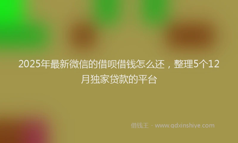 2025年最新微信的借呗借钱怎么还，整理5个12月独家贷款的平台