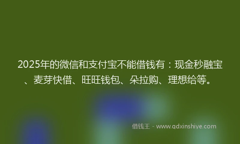 2025年的微信和支付宝不能借钱有：现金秒融宝、麦芽快借、旺旺钱包、朵拉购、理想给等。
