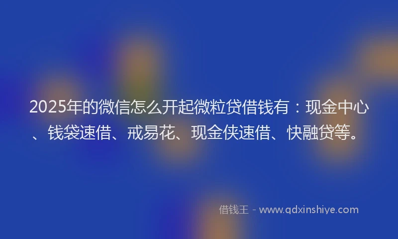 2025年的微信怎么开起微粒贷借钱有：现金中心、钱袋速借、戒易花、现金侠速借、快融贷等。
