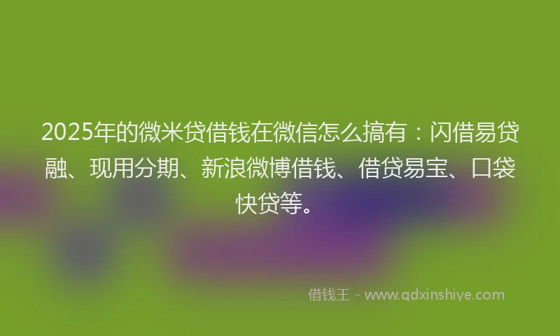 2025年的微米贷借钱在微信怎么搞有：闪借易贷融、现用分期、新浪微博借钱、借贷易宝、口袋快贷等。