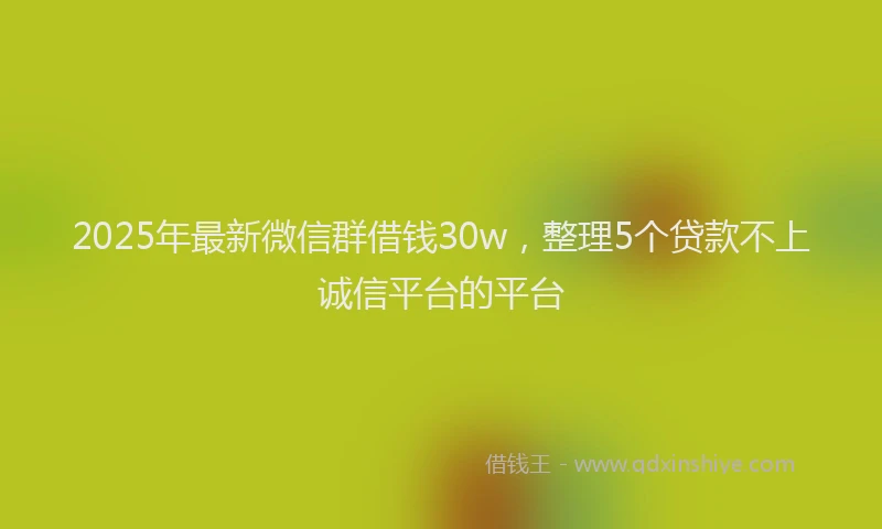 2025年最新微信群借钱30w，整理5个贷款不上诚信平台的平台