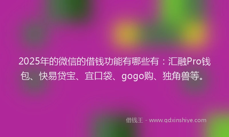 2025年的微信的借钱功能有哪些有：汇融Pro钱包、快易贷宝、宜口袋、gogo购、独角兽等。