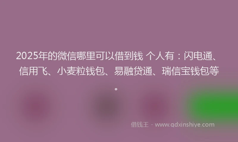 2025年的微信哪里可以借到钱 个人有：闪电通、信用飞、小麦粒钱包、易融贷通、瑞信宝钱包等。