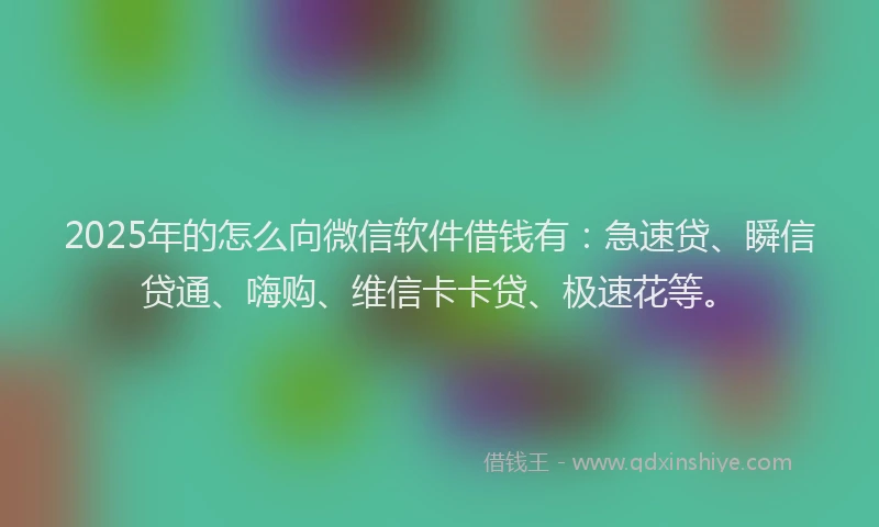 2025年的怎么向微信软件借钱有：急速贷、瞬信贷通、嗨购、维信卡卡贷、极速花等。