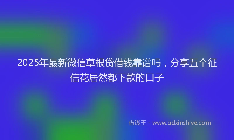 2025年最新微信草根贷借钱靠谱吗，分享五个征信花居然都下款的口子