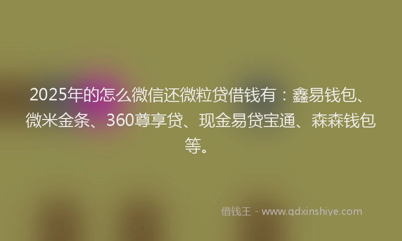 2025年的怎么微信还微粒贷借钱有：鑫易钱包、微米金条、360尊享贷、现金易贷宝通、森森钱包等。
