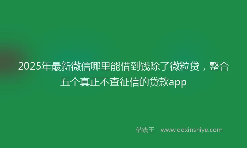 2025年最新微信哪里能借到钱除了微粒贷，整合五个真正不查征信的贷款app