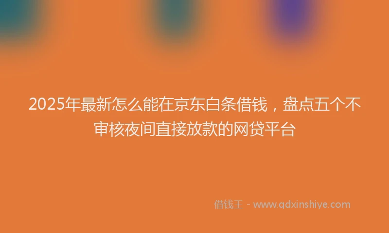 2025年最新怎么能在京东白条借钱，盘点五个不审核夜间直接放款的网贷平台