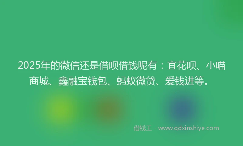 2025年的微信还是借呗借钱呢有：宜花呗、小喵商城、鑫融宝钱包、蚂蚁微贷、爱钱进等。