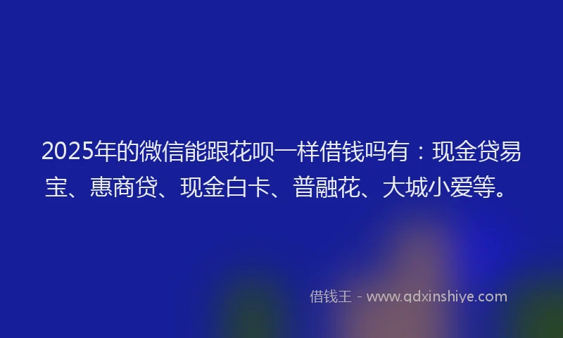 2025年的微信能跟花呗一样借钱吗有：现金贷易宝、惠商贷、现金白卡、普融花、大城小爱等。
