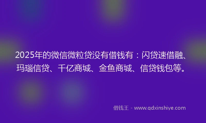 2025年的微信微粒贷没有借钱有：闪贷速借融、玛瑙信贷、千亿商城、金鱼商城、信贷钱包等。