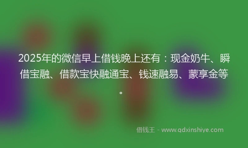 2025年的微信早上借钱晚上还有：现金奶牛、瞬借宝融、借款宝快融通宝、钱速融易、蒙享金等。