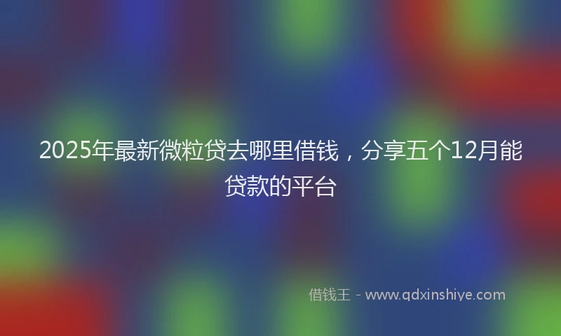 2025年最新微粒贷去哪里借钱，分享五个12月能贷款的平台