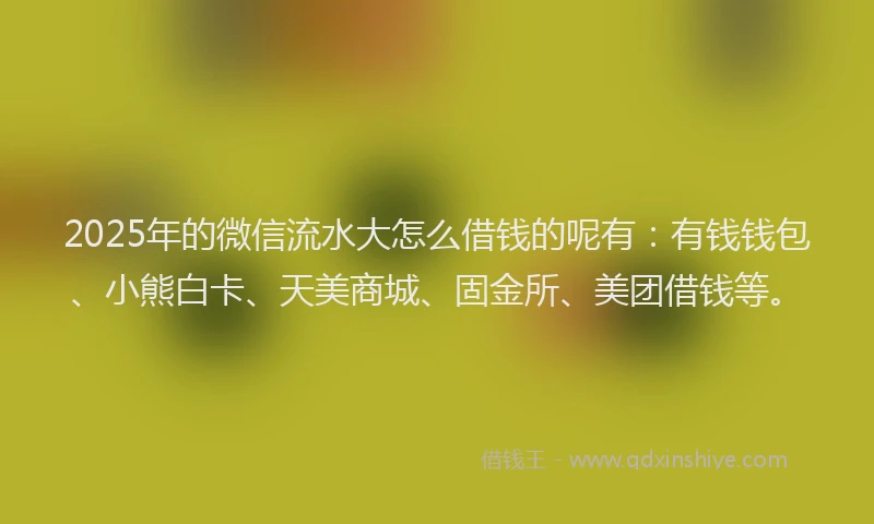 2025年的微信流水大怎么借钱的呢有：有钱钱包、小熊白卡、天美商城、固金所、美团借钱等。