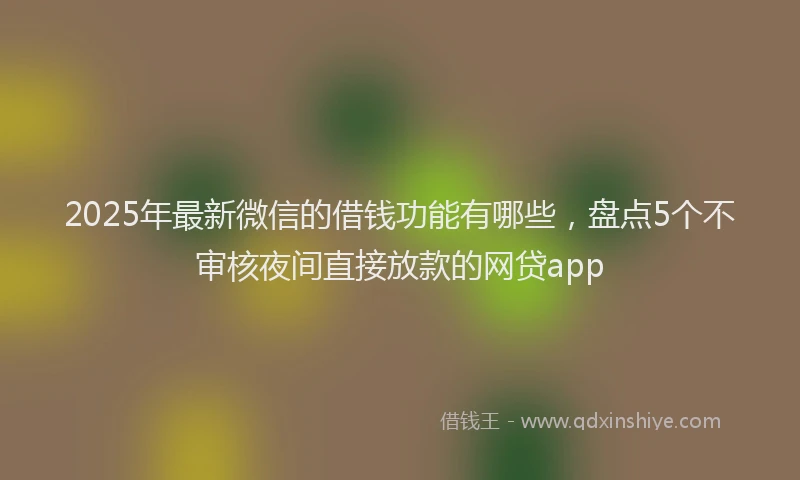 2025年最新微信的借钱功能有哪些，盘点5个不审核夜间直接放款的网贷app
