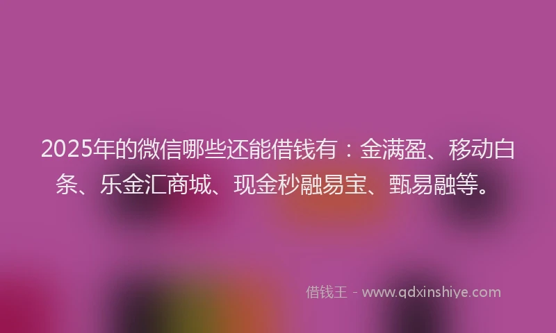 2025年的微信哪些还能借钱有：金满盈、移动白条、乐金汇商城、现金秒融易宝、甄易融等。