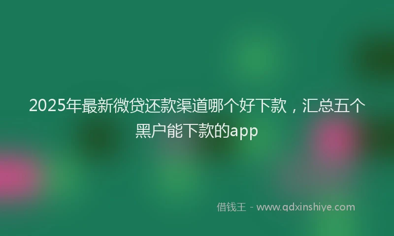 2025年最新微贷还款渠道哪个好下款，汇总五个黑户能下款的app
