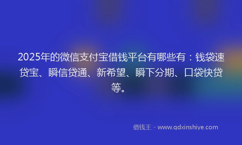 2025年的微信支付宝借钱平台有哪些有：钱袋速贷宝、瞬信贷通、新希望、瞬下分期、口袋快贷等。