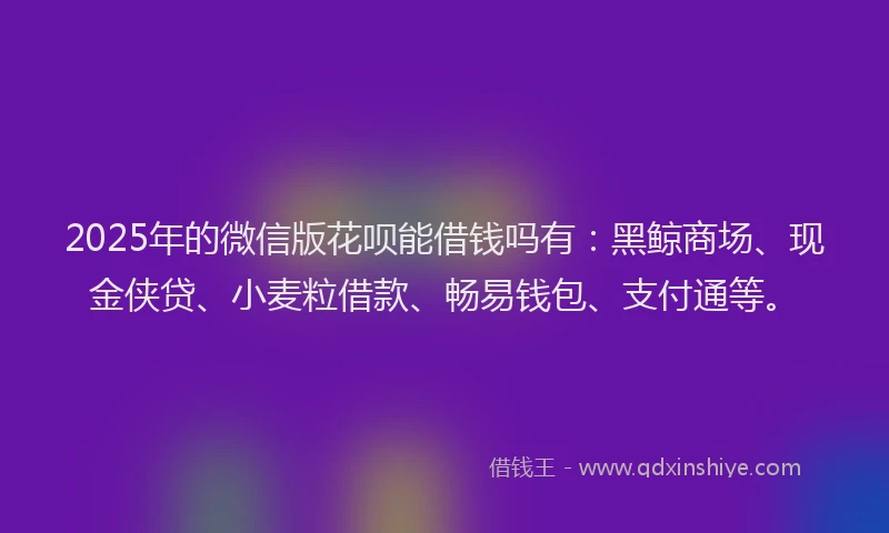 2025年的微信版花呗能借钱吗有：黑鲸商场、现金侠贷、小麦粒借款、畅易钱包、支付通等。