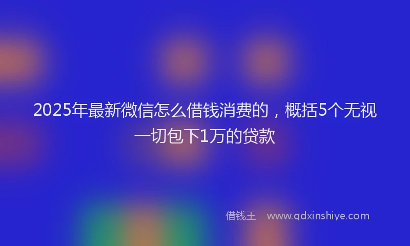 2025年最新微信怎么借钱消费的，概括5个无视一切包下1万的贷款