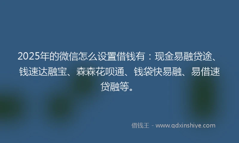 2025年的微信怎么设置借钱有：现金易融贷途、钱速达融宝、森森花呗通、钱袋快易融、易借速贷融等。