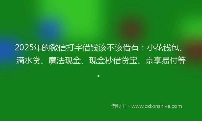 2025年的微信打字借钱该不该借有：小花钱包、滴水贷、魔法现金、现金秒借贷宝、京享易付等。