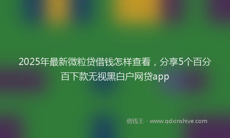 2025年最新微粒贷借钱怎样查看，分享5个百分百下款无视黑白户网贷app