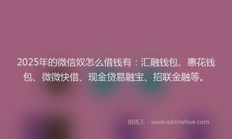 2025年的微信奴怎么借钱有：汇融钱包、惠花钱包、微微快借、现金贷易融宝、招联金融等。