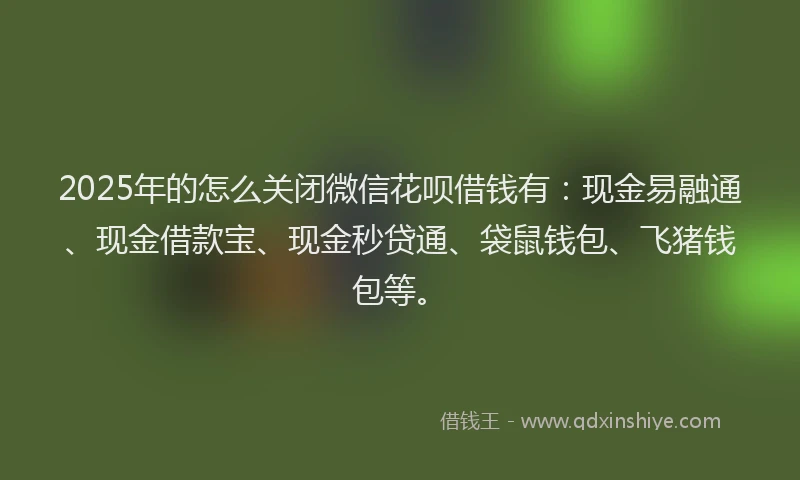 2025年的怎么关闭微信花呗借钱有：现金易融通、现金借款宝、现金秒贷通、袋鼠钱包、飞猪钱包等。