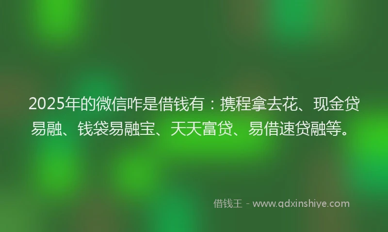 2025年的微信咋是借钱有：携程拿去花、现金贷易融、钱袋易融宝、天天富贷、易借速贷融等。