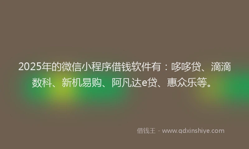 2025年的微信小程序借钱软件有：哆哆贷、滴滴数科、新机易购、阿凡达e贷、惠众乐等。