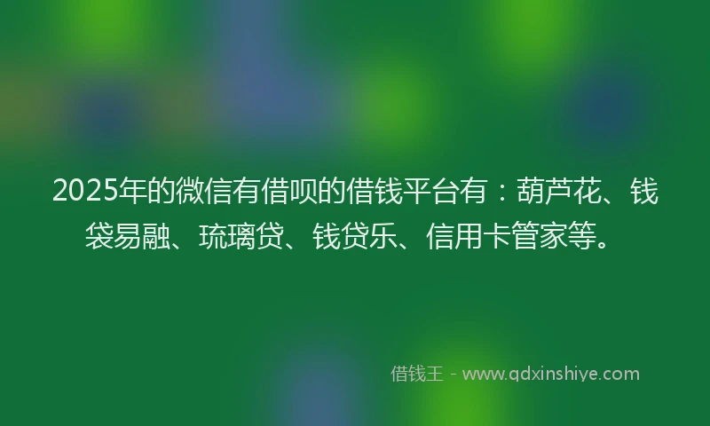 2025年的微信有借呗的借钱平台有：葫芦花、钱袋易融、琉璃贷、钱贷乐、信用卡管家等。
