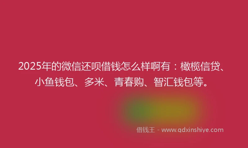 2025年的微信还呗借钱怎么样啊有：橄榄信贷、小鱼钱包、多米、青春购、智汇钱包等。