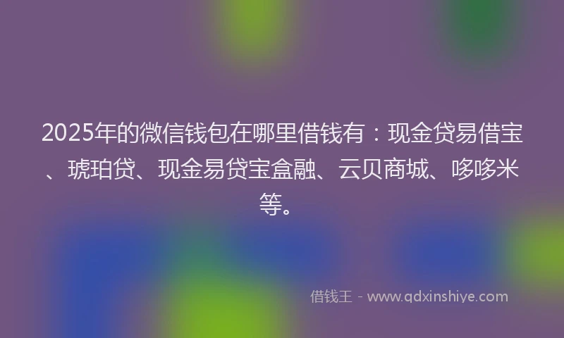2025年的微信钱包在哪里借钱有：现金贷易借宝、琥珀贷、现金易贷宝盒融、云贝商城、哆哆米等。