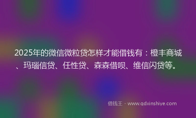 2025年的微信微粒贷怎样才能借钱有：橙丰商城、玛瑙信贷、任性贷、森森借呗、维信闪贷等。