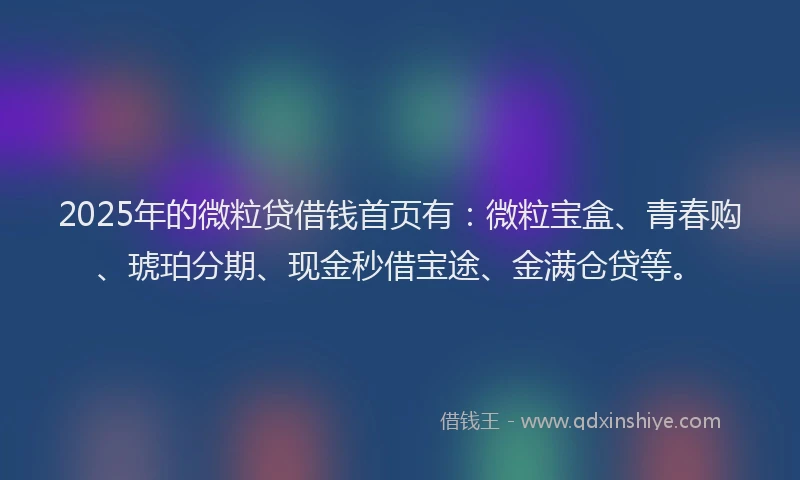 2025年的微粒贷借钱首页有：微粒宝盒、青春购、琥珀分期、现金秒借宝途、金满仓贷等。