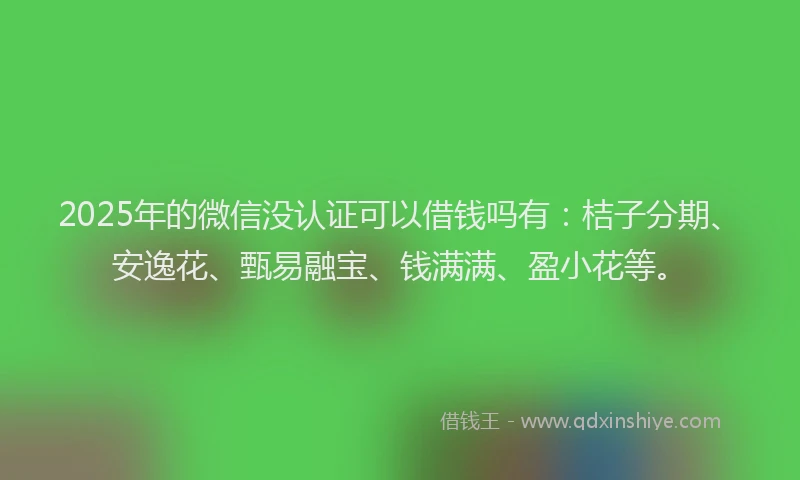 2025年的微信没认证可以借钱吗有：桔子分期、安逸花、甄易融宝、钱满满、盈小花等。