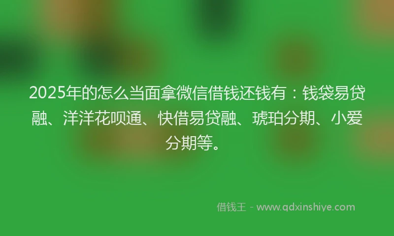 2025年的怎么当面拿微信借钱还钱有：钱袋易贷融、洋洋花呗通、快借易贷融、琥珀分期、小爱分期等。