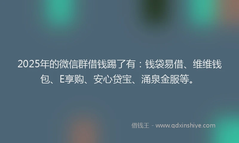 2025年的微信群借钱踢了有：钱袋易借、维维钱包、E享购、安心贷宝、涌泉金服等。