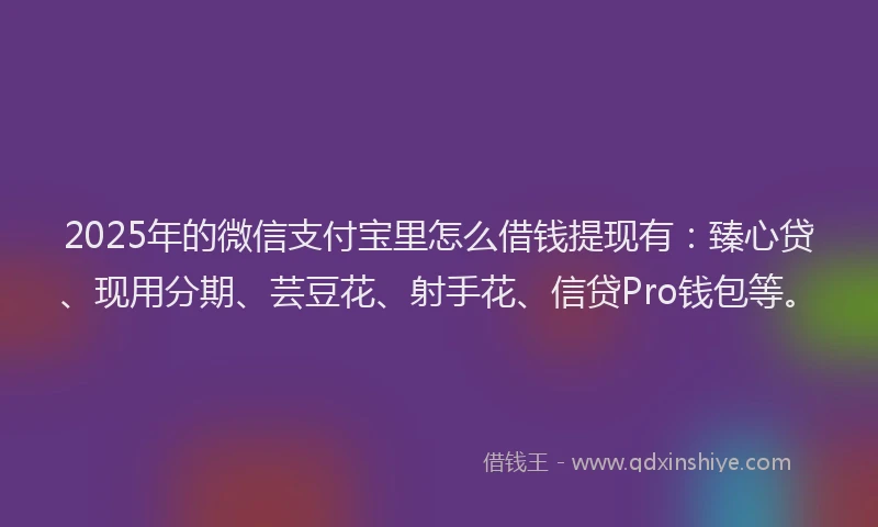 2025年的微信支付宝里怎么借钱提现有：臻心贷、现用分期、芸豆花、射手花、信贷Pro钱包等。