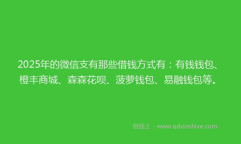 2025年的微信支有那些借钱方式有：有钱钱包、橙丰商城、森森花呗、菠萝钱包、易融钱包等。