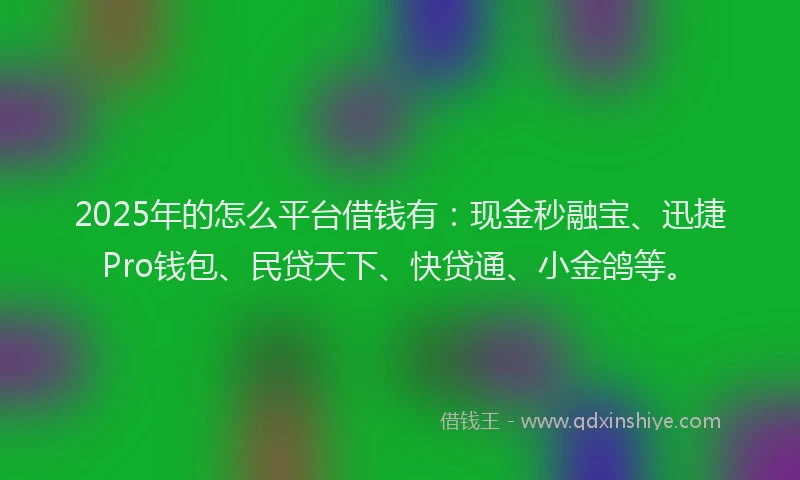 2025年的怎么平台借钱有：现金秒融宝、迅捷Pro钱包、民贷天下、快贷通、小金鸽等。