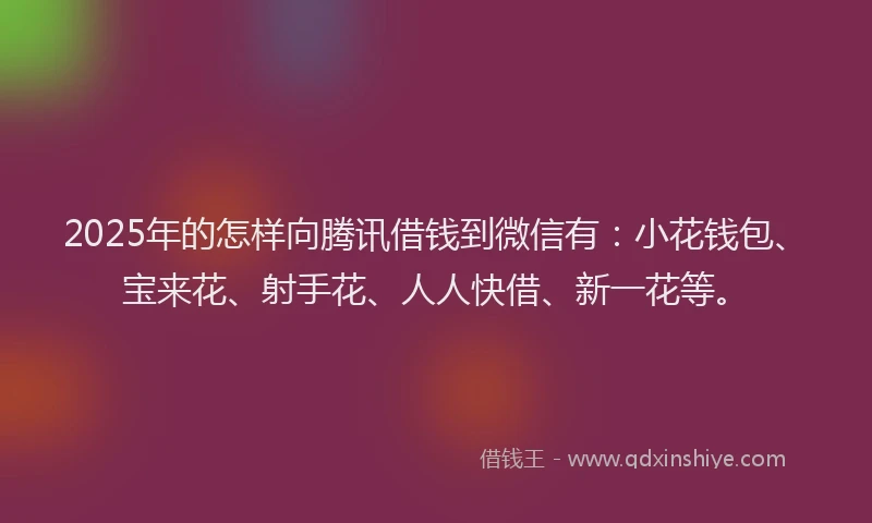 2025年的怎样向腾讯借钱到微信有：小花钱包、宝来花、射手花、人人快借、新一花等。