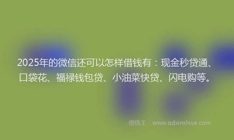 2025年的微信还可以怎样借钱有：现金秒贷通、口袋花、福禄钱包贷、小油菜快贷、闪电购等。