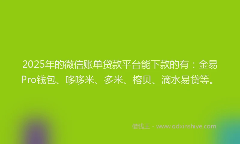 2025年的微信账单贷款平台能下款的有：金易Pro钱包、哆哆米、多米、榕贝、滴水易贷等。