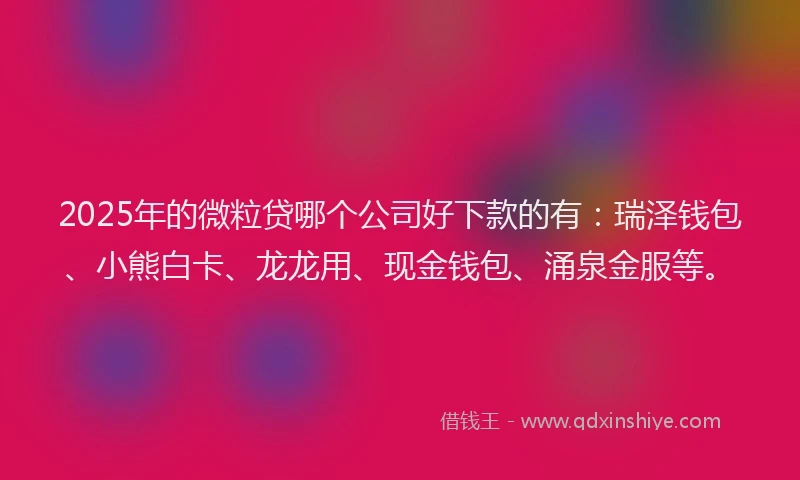 2025年的微粒贷哪个公司好下款的有：瑞泽钱包、小熊白卡、龙龙用、现金钱包、涌泉金服等。